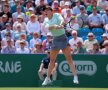 Simona Halep - Polona Hercog // FOTO: Reuters