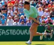 Simona Halep - Polona Hercog // FOTO: Reuters