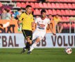 FC Voluntari - Sepsi Sfântu Gheorghe