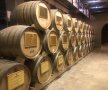 GSP face o incursiune printre butoaiele de coniac ale fabricii Ararat din Erevan // foto: Andrei Crăițoiu (Gazeta Sporturilor)