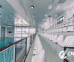 GALERIE FOTO După 31 de ani, o bijuterie în locul ruinei! » Noul bazin de polo pentru sportivii de la Rapid e GATA! Vezi cum arată în interior