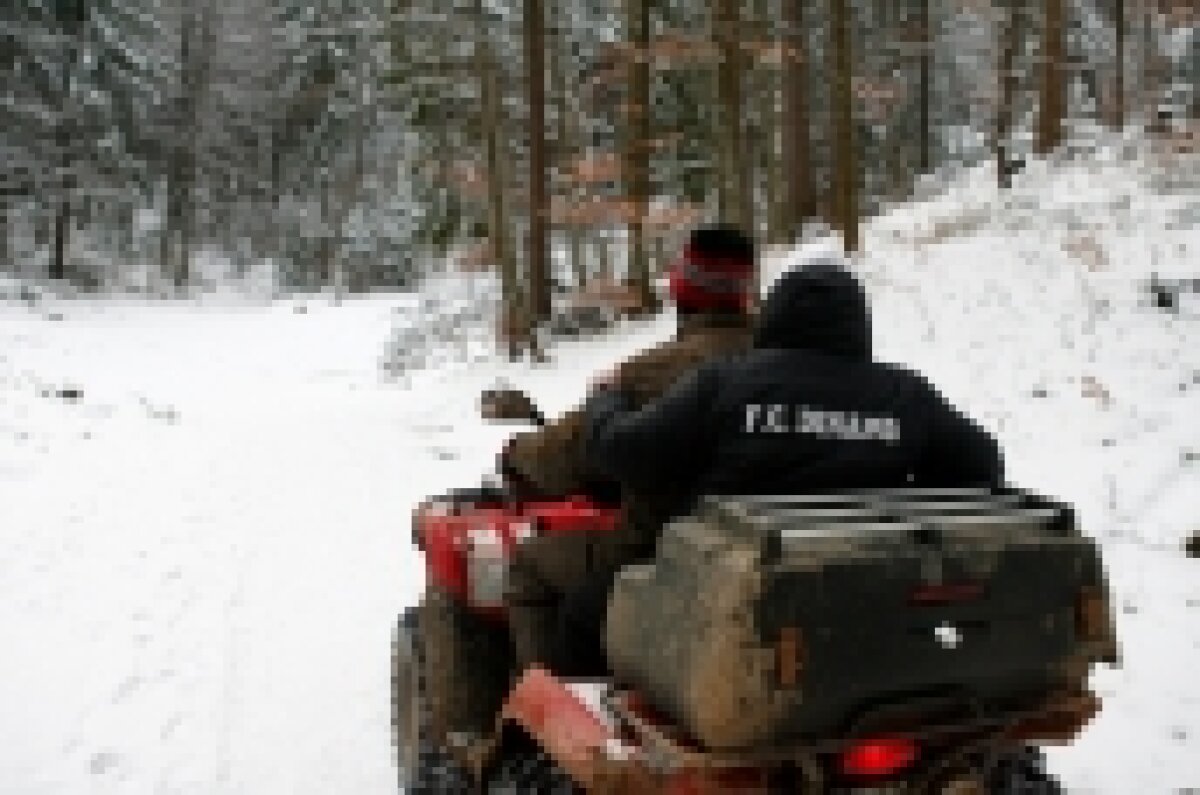 N'Doye s-a pierdut în pădure, dar a ajuns singur la hotel! :)