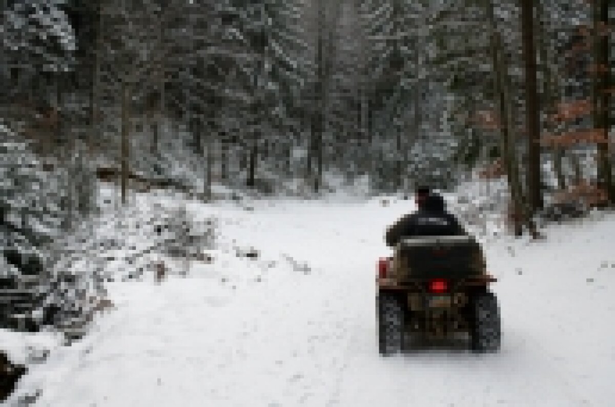 N'Doye s-a pierdut în pădure, dar a ajuns singur la hotel! :)