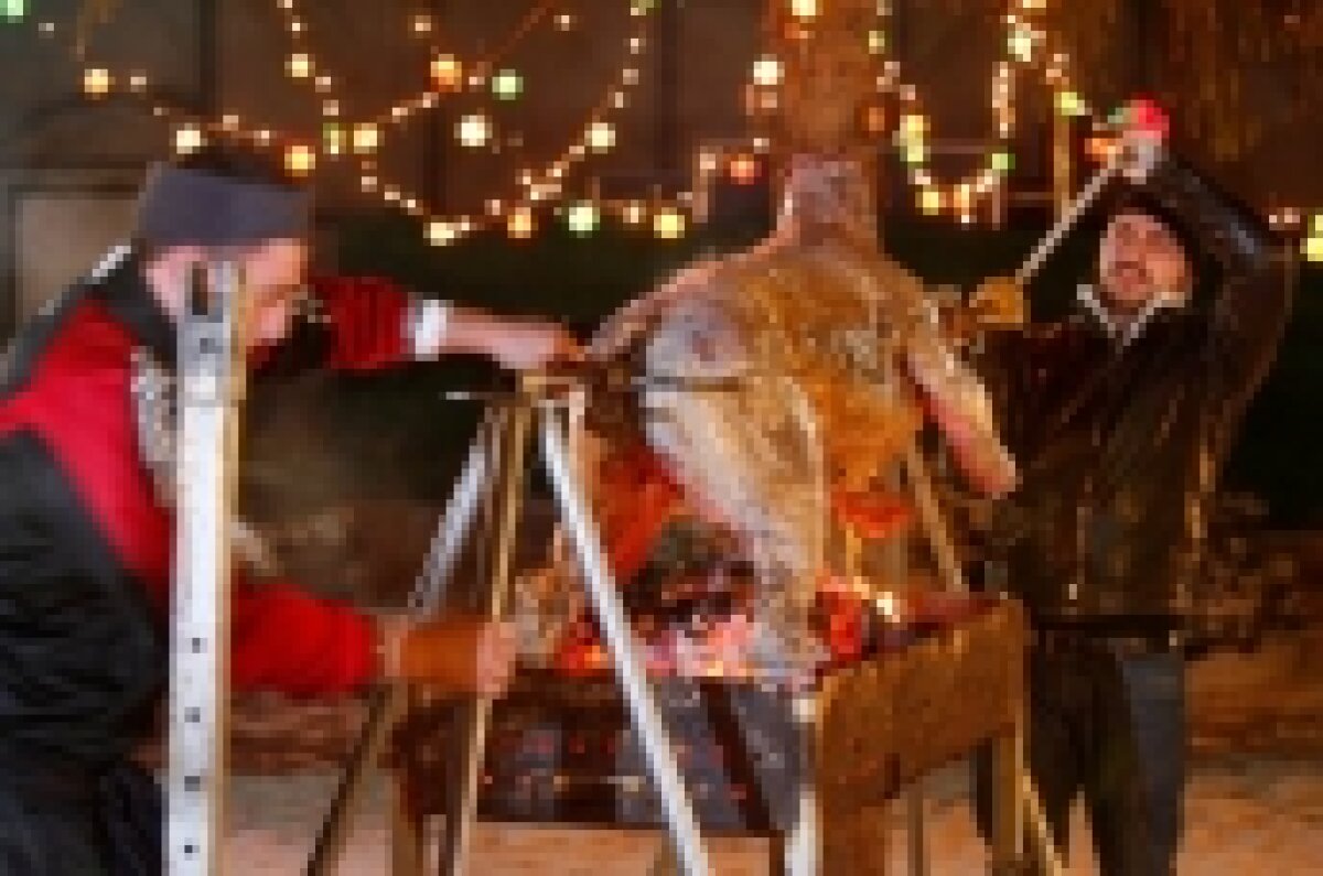 FOTO » Contestatarii l-au scos din minţi pe Borcea la petrecere