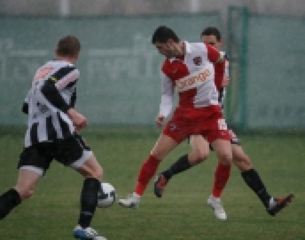 Dinamo salvată de "astralii" Ganea şi Păun » 100% eficienţă