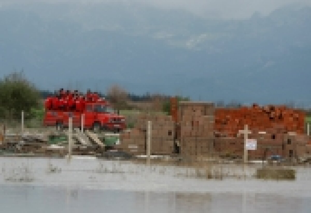 Dinamoviştii au ajuns la antrenament cu un camion! » "Cîini" acvatici :D