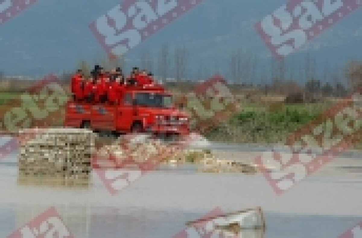 Dinamoviştii au ajuns la antrenament cu un camion! » "Cîini" acvatici :D