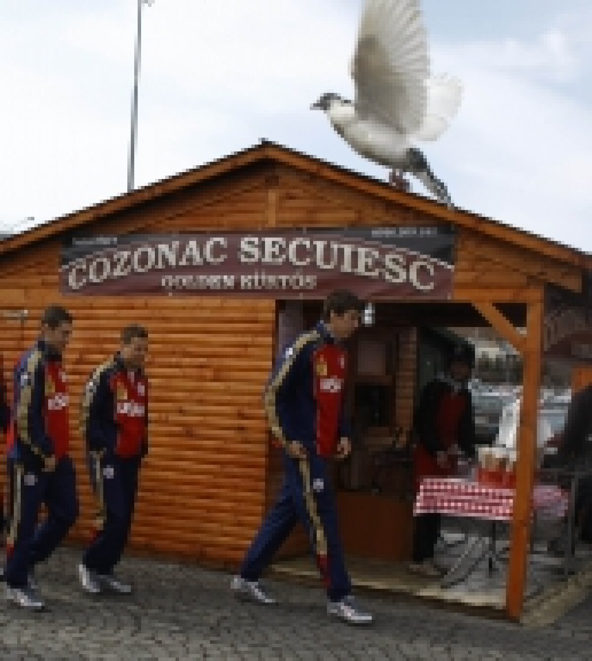 FOTO / Jucătorii echipei naţionale au vizitat un mall din Timişoara