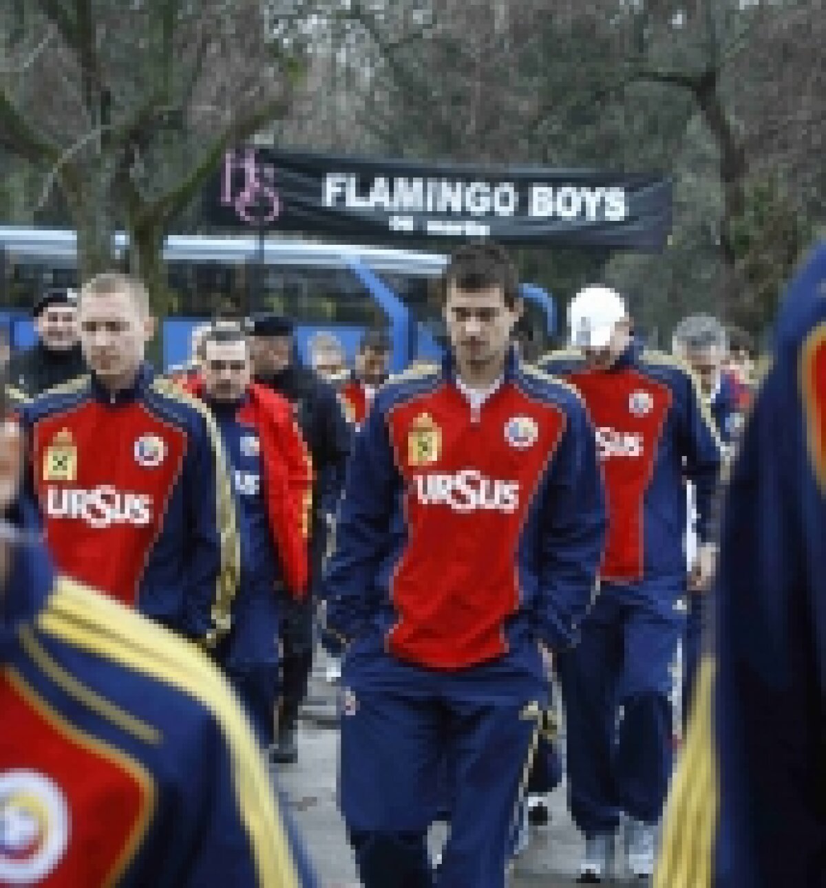 FOTO / Jucătorii echipei naţionale au fost azi la biliard