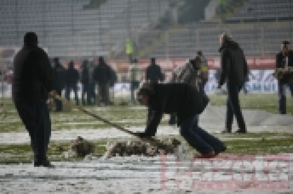 Suporterii Rapidului au salvat meciul cu Timişoara » "Sîntem peste tot acasă!"