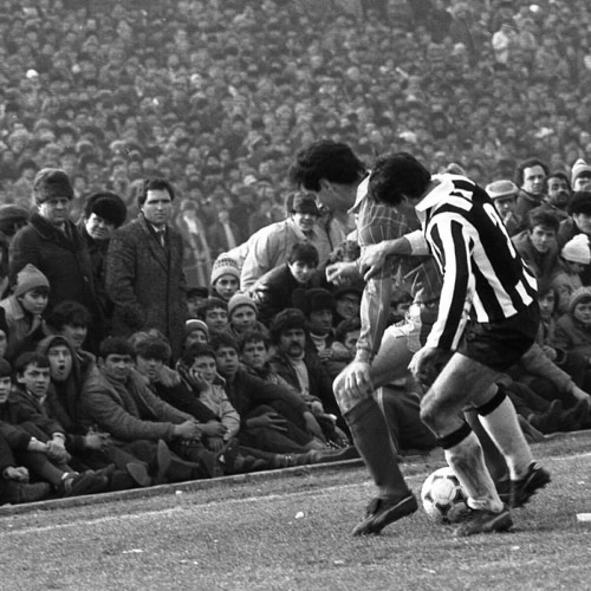 IMAGINI FABULOASE > Cuplaj de poveste, cu 100.000 de oameni în tribune