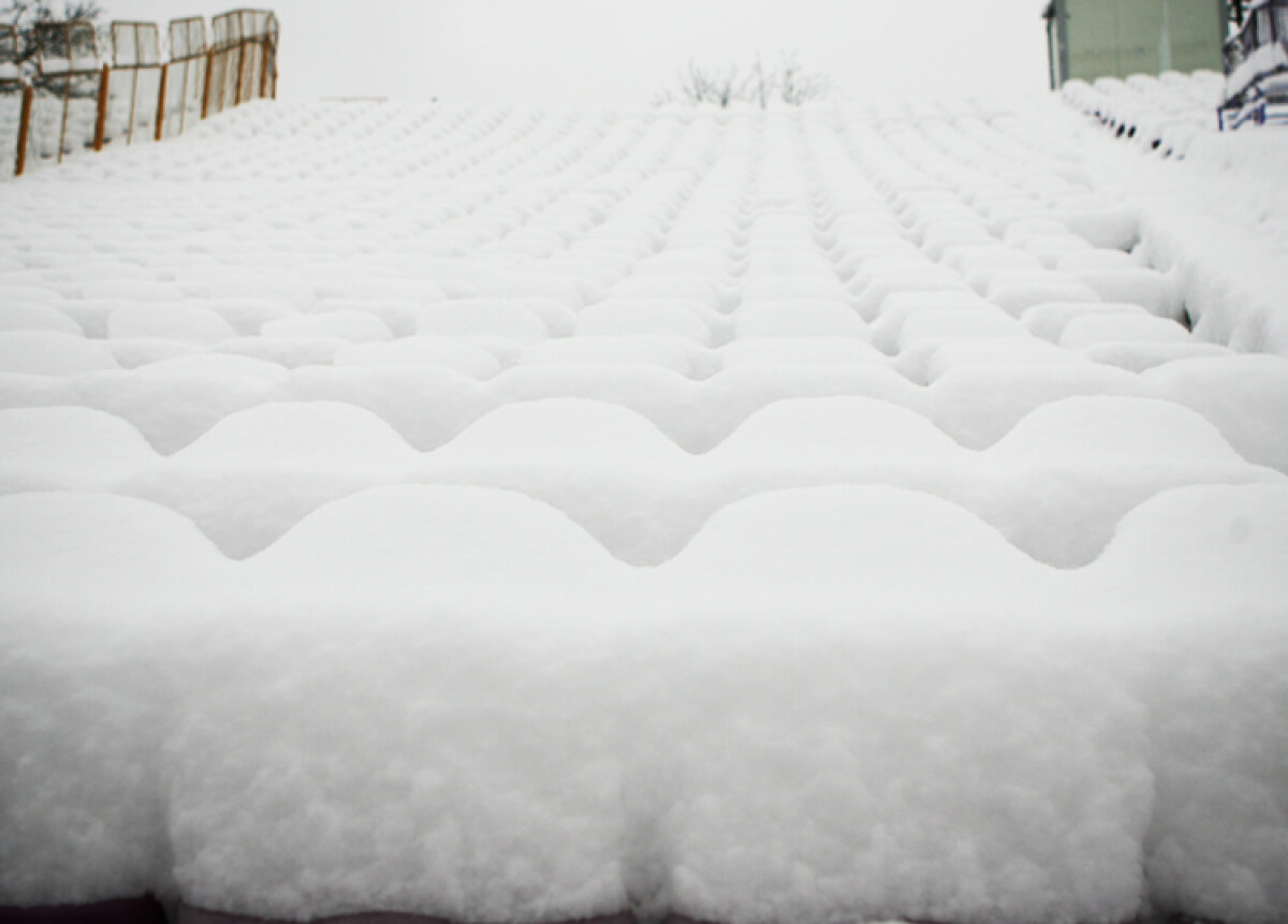 La Timişoara ninge de joi noapte şi stratul de zăpadă este de circa 25-30 de centimetri