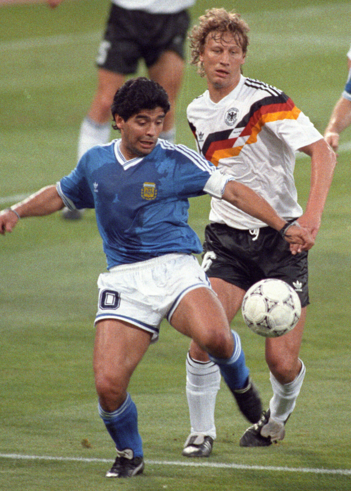 GALERIE FOTO / Mai greu în lupta cu kilogramele decît în duelurile om la om :D