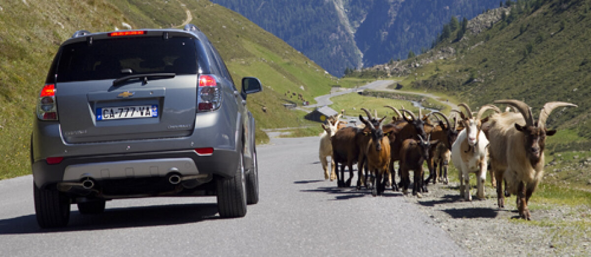 FOTO & VIDEO: Drive test Chevrolet Captiva » A aruncat mănuşa