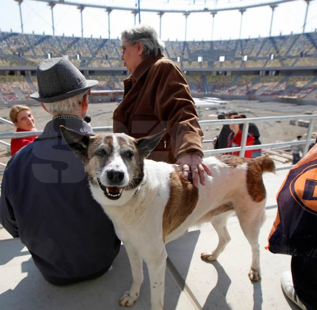 FOTO Interes incredibil pentru noua arenă din Bucureşti » Peste 20.000 de persoane au văzut deja National Arena