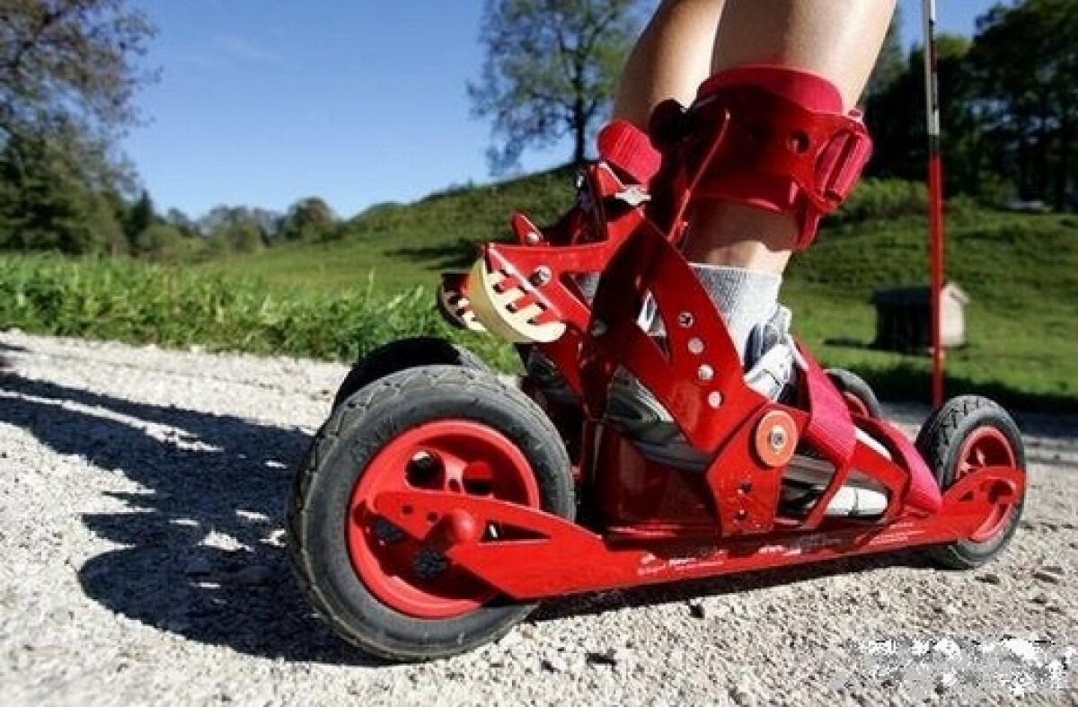 Top 7 role cu design revolutionar