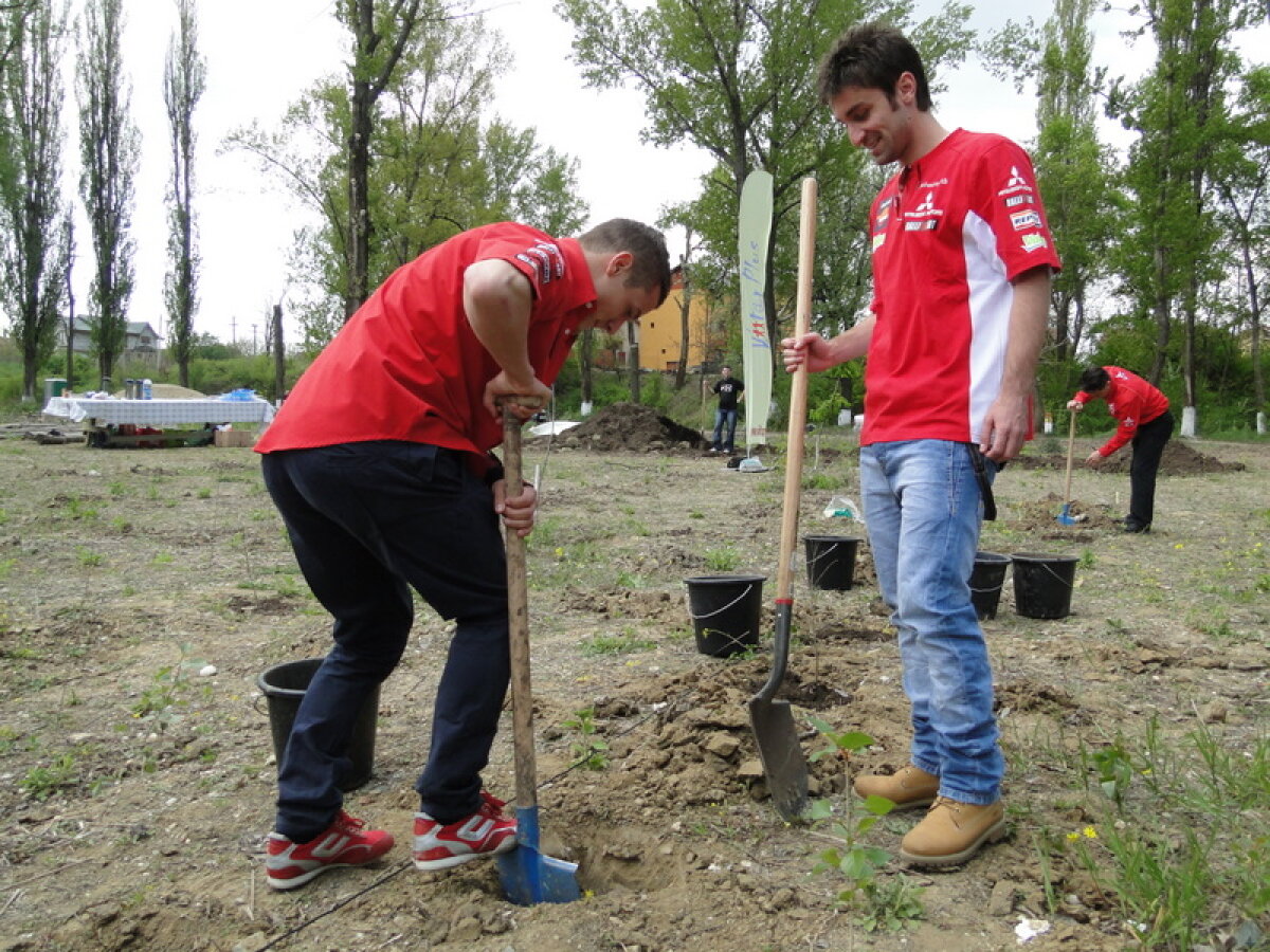 FOTO // Dinamoviştii se gîndesc la natură! Au plantat copaci la Bragadiru