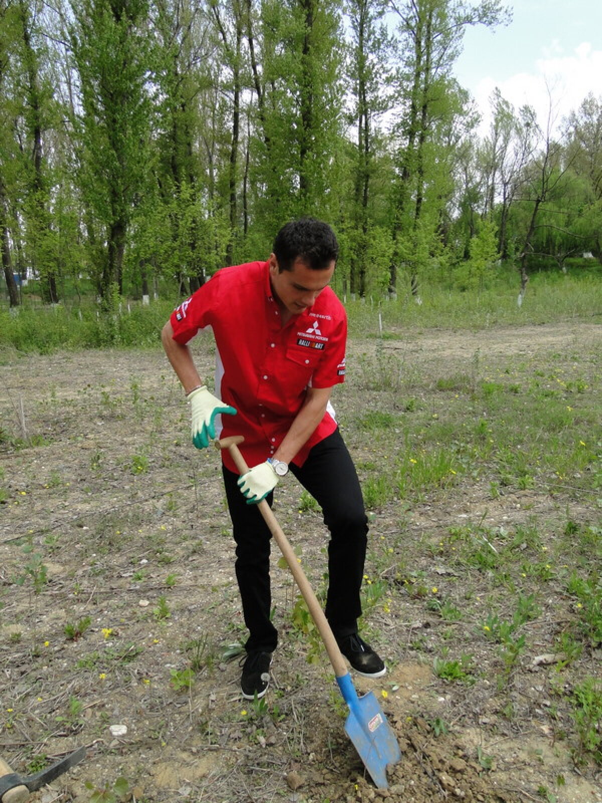 FOTO // Dinamoviştii se gîndesc la natură! Au plantat copaci la Bragadiru