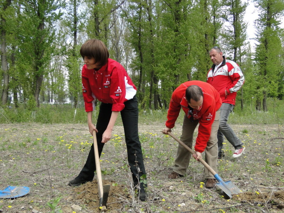 FOTO // Dinamoviştii se gîndesc la natură! Au plantat copaci la Bragadiru