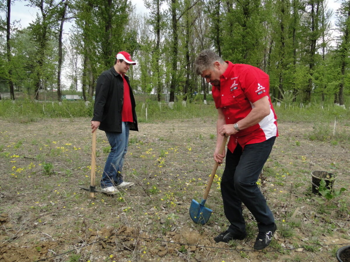 FOTO // Dinamoviştii se gîndesc la natură! Au plantat copaci la Bragadiru