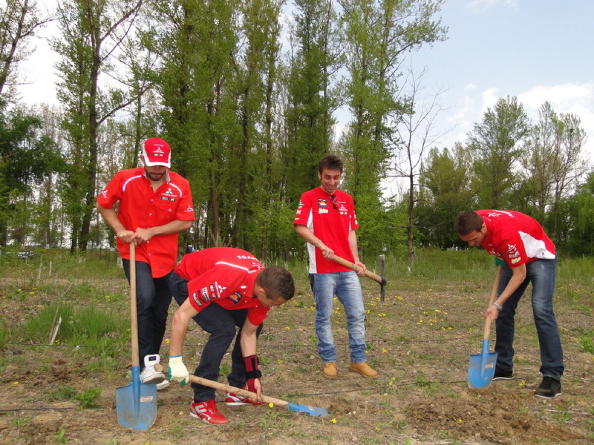 FOTO // Dinamoviştii se gîndesc la natură! Au plantat copaci la Bragadiru