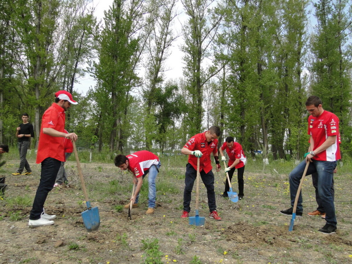 FOTO // Dinamoviştii se gîndesc la natură! Au plantat copaci la Bragadiru