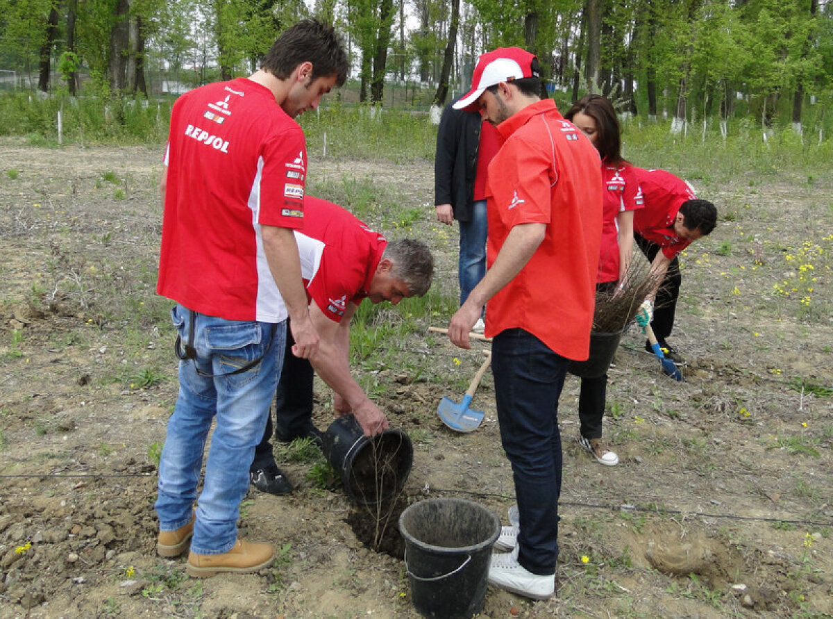 FOTO // Dinamoviştii se gîndesc la natură! Au plantat copaci la Bragadiru