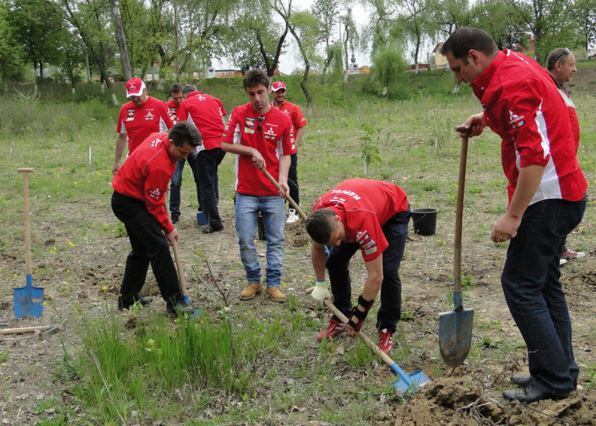 FOTO // Dinamoviştii se gîndesc la natură! Au plantat copaci la Bragadiru
