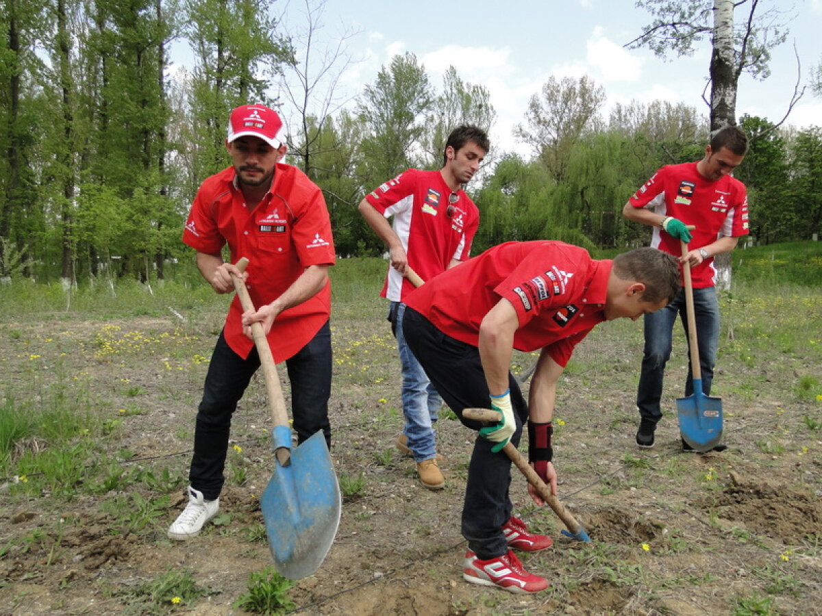 FOTO // Dinamoviştii se gîndesc la natură! Au plantat copaci la Bragadiru
