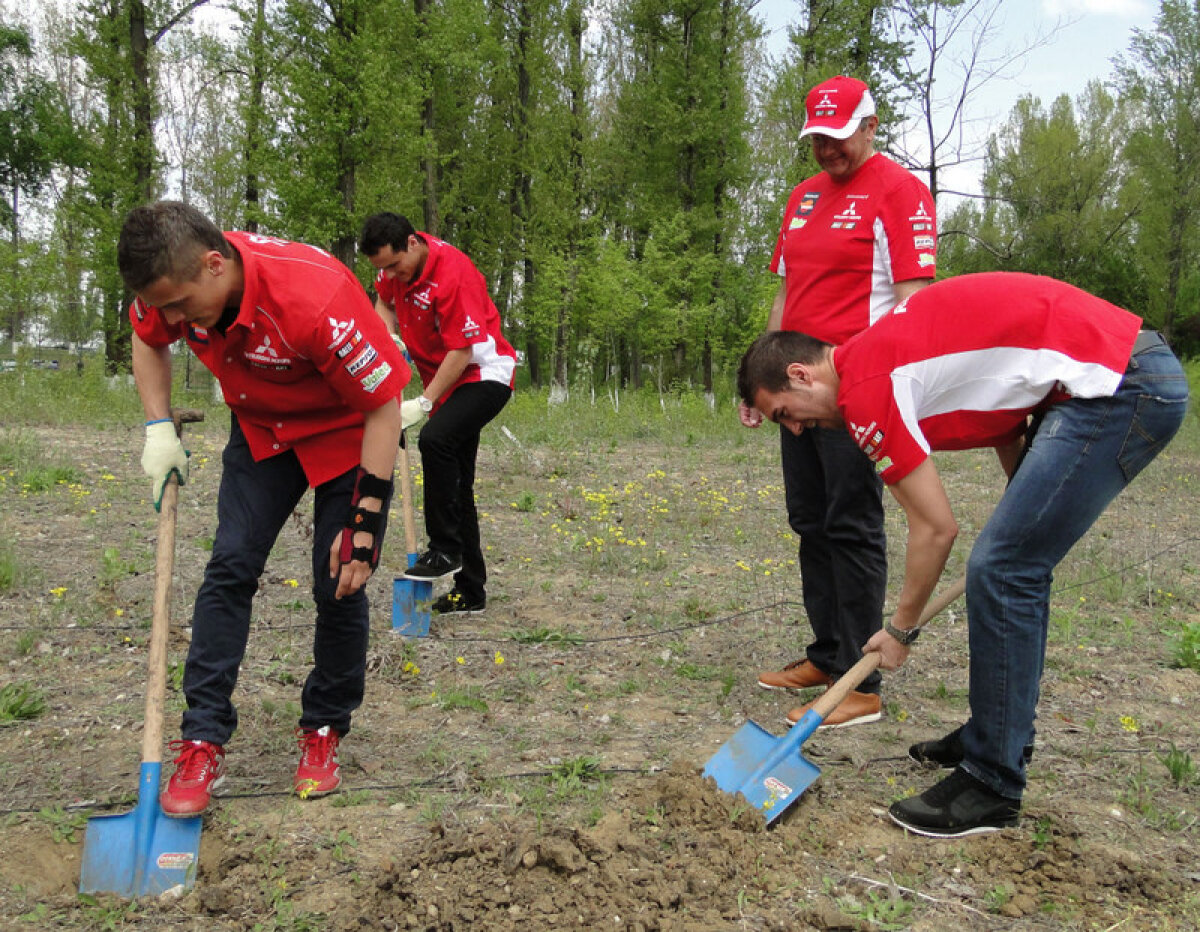 FOTO // Dinamoviştii se gîndesc la natură! Au plantat copaci la Bragadiru