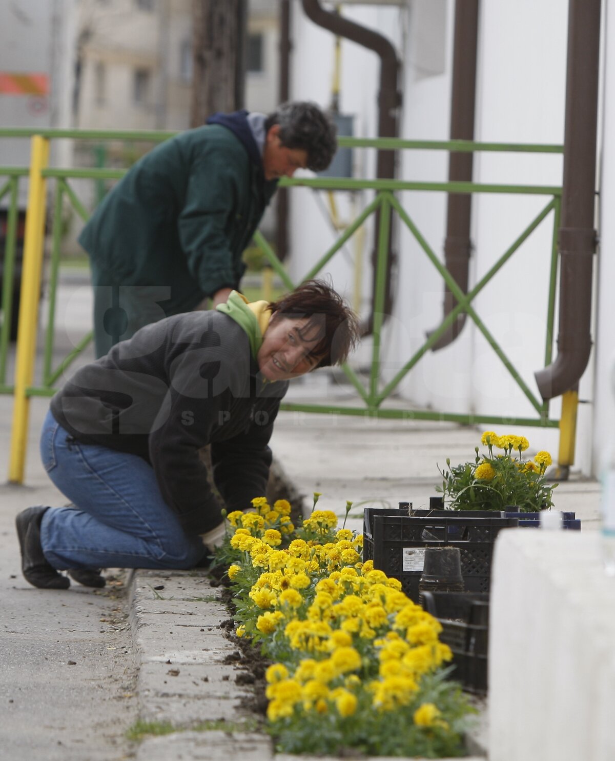 FOTO! Vaslui - Timişoara 1-1. Bănăţenii au luat un avans de două puncte faţă de urmăritoare