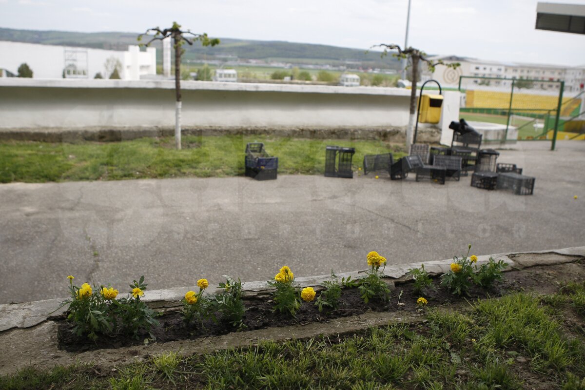 Premieră la Vaslui » Finala campionatului, FC Vaslui - Poli, se va disputa cu casa închisă!