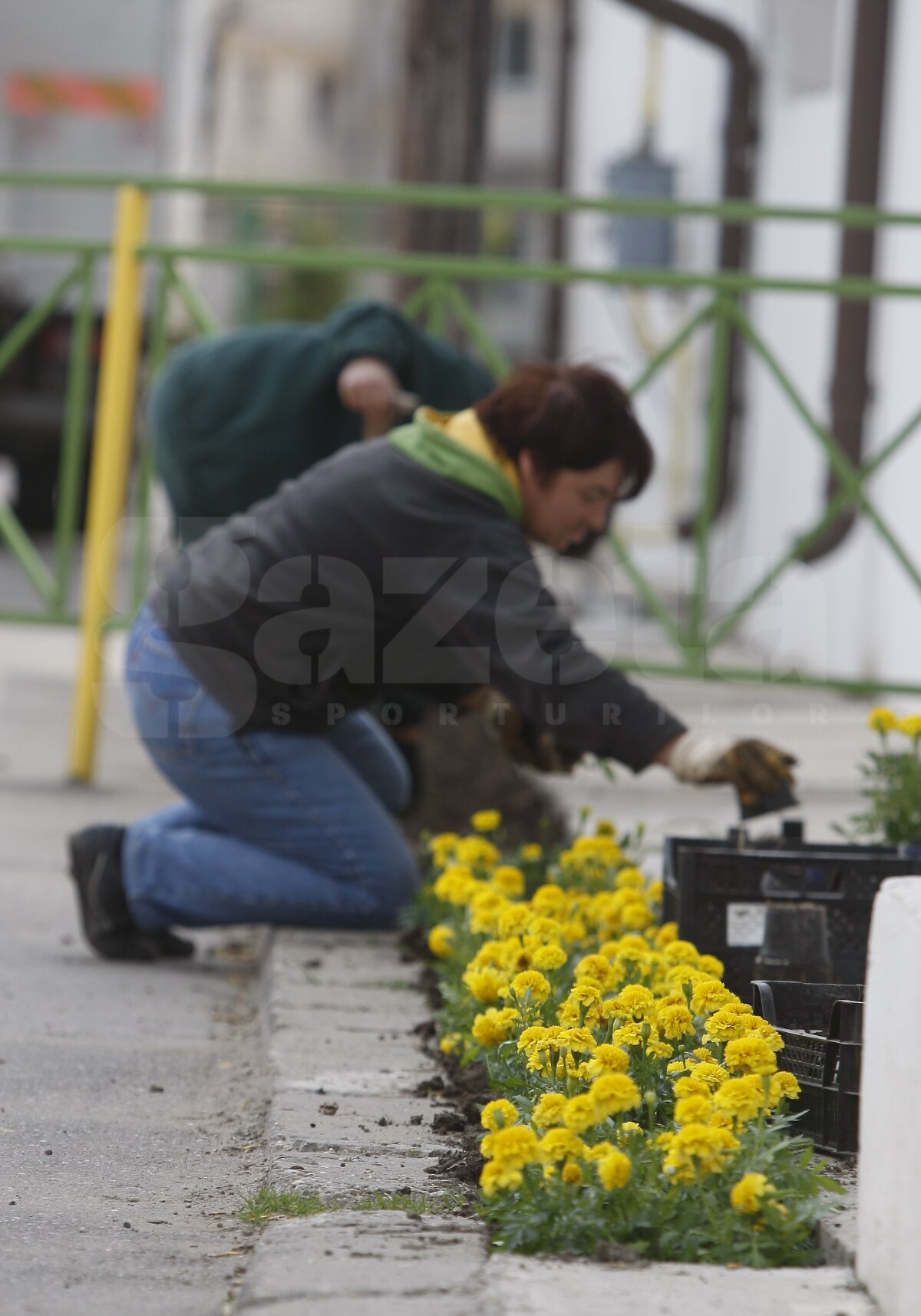 Premieră la Vaslui » Finala campionatului, FC Vaslui - Poli, se va disputa cu casa închisă!
