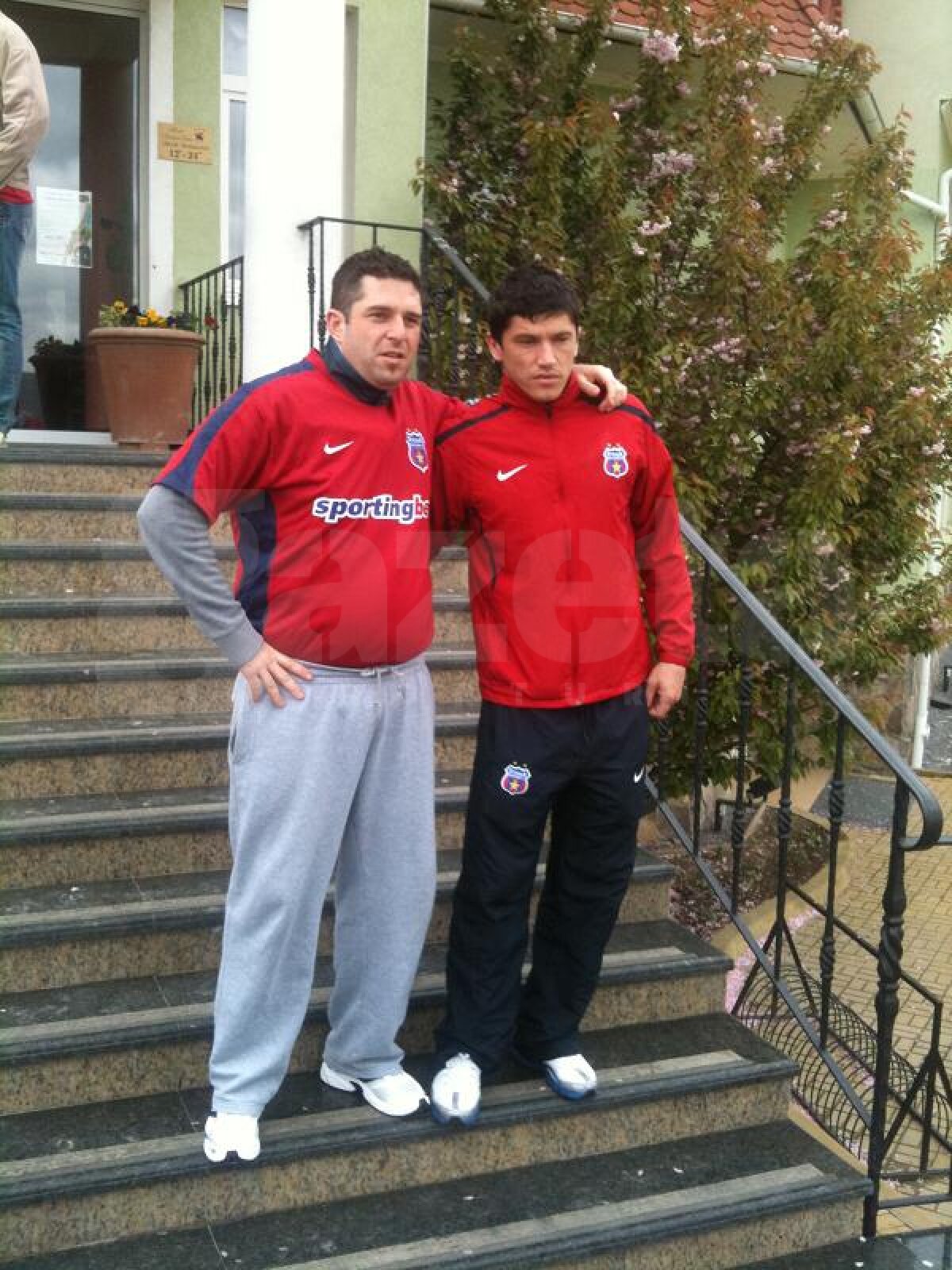 liveTEXT GSP.ro » Gaz Metan - Steaua 0-0