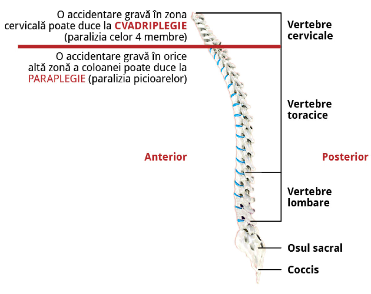 Coechipierii lui Neşu nu au făcut nici o intrare prin alunecare la ultimul antrenament