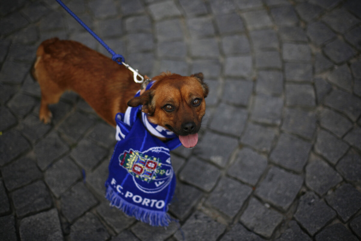 FOTO & VIDEO » Cum a ajuns Villas-Boas la FC Porto » Clovnul devenit erou