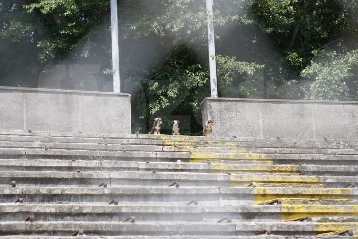 FOTO » Oţelul vrea să joace în Ligă pe arena Dunării Galaţi, dar stadionul e în paragină