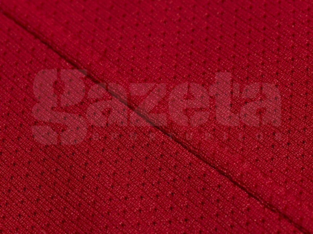 Manchester United şi-a prezentat noul echipament pentru sezonul următor