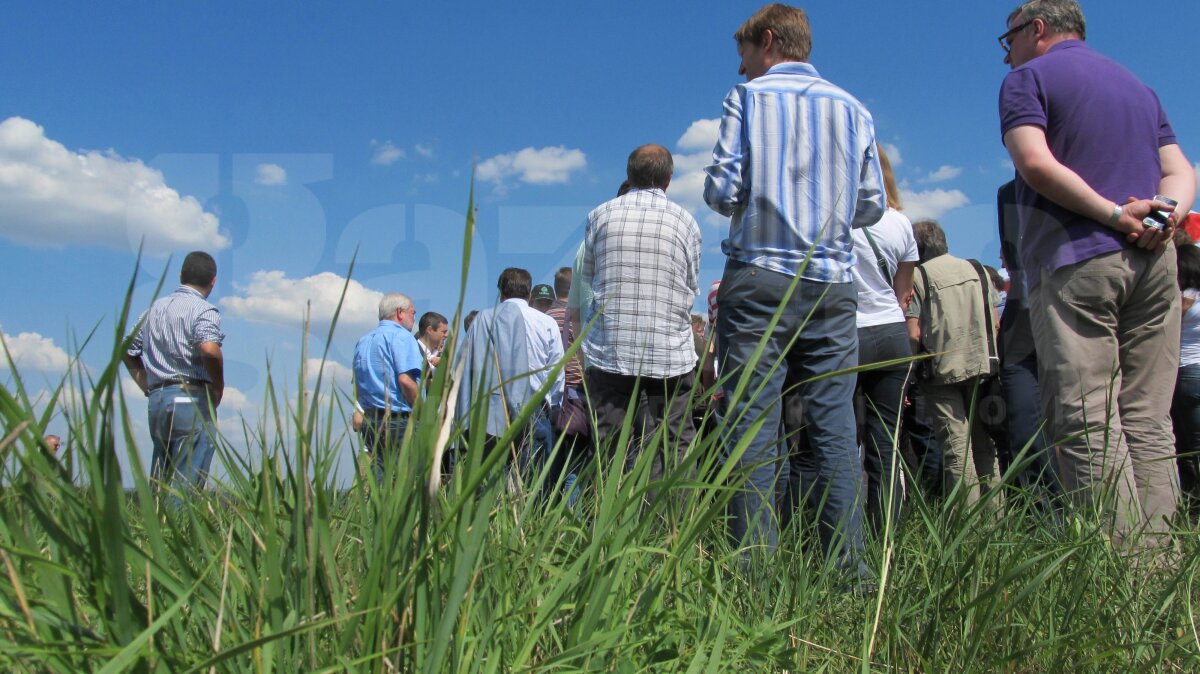 FOTO Serbare cîmpenească sau Campionat European? » Doneţk îşi aşteaptă oaspeţii cu corturile întinse :O
