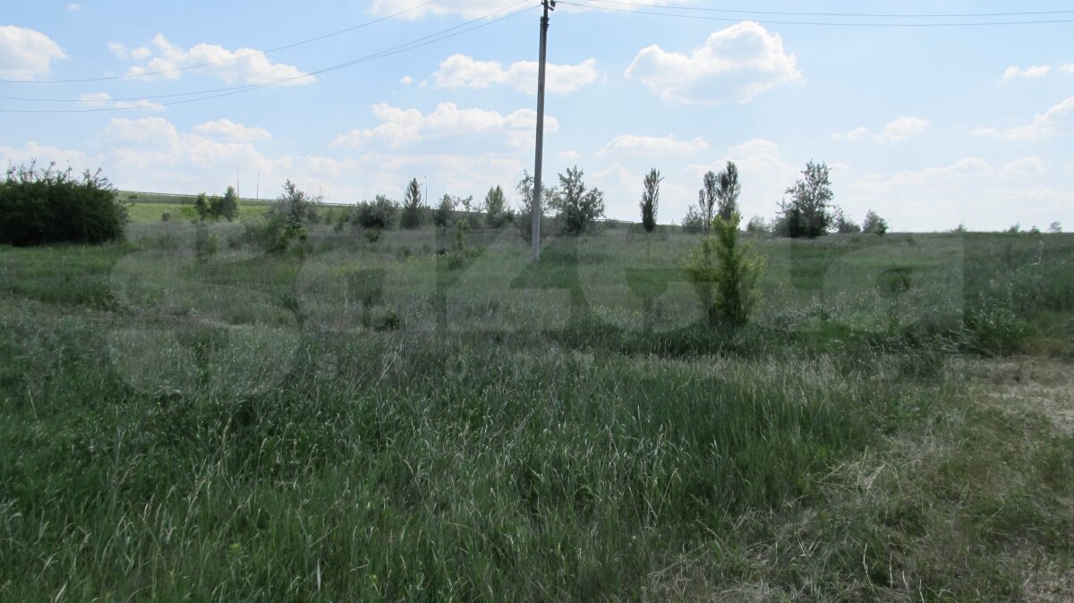 FOTO Serbare cîmpenească sau Campionat European? » Doneţk îşi aşteaptă oaspeţii cu corturile întinse :O