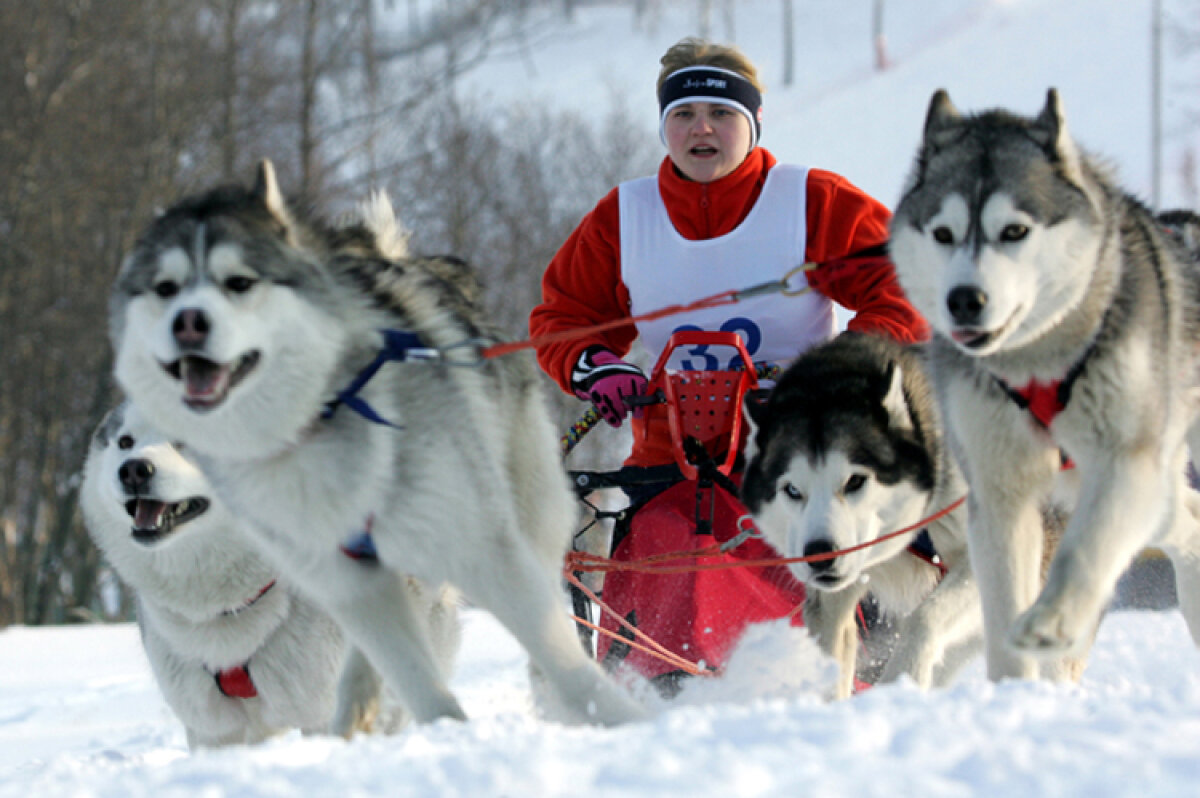 GALERIE FOTO Înot sincron solo şi schi viteză » Cele mai ciudate şi inutile sporturi