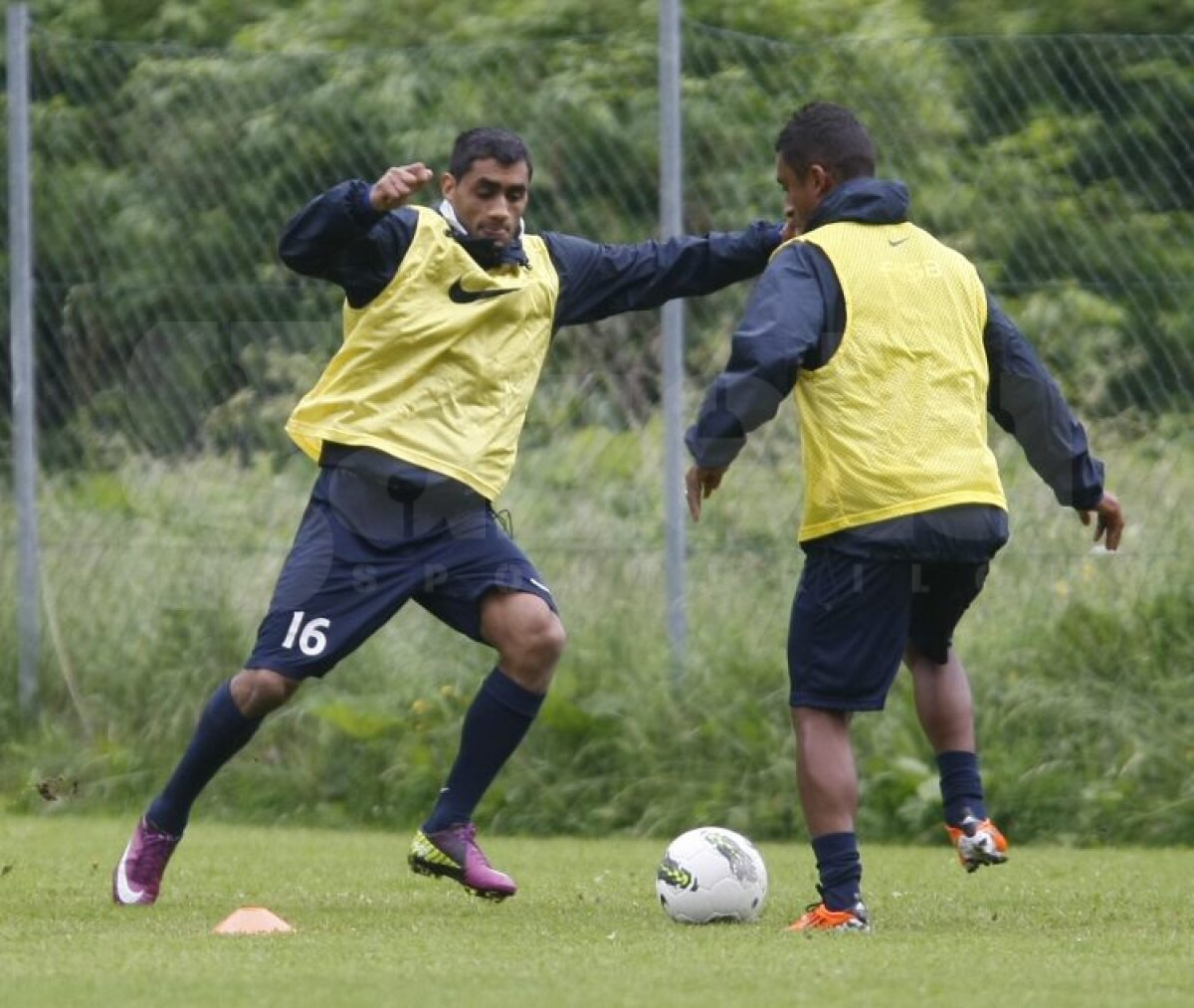 FOTO Aveţi grijă! Steliştii nu se mai iartă nici între ei!