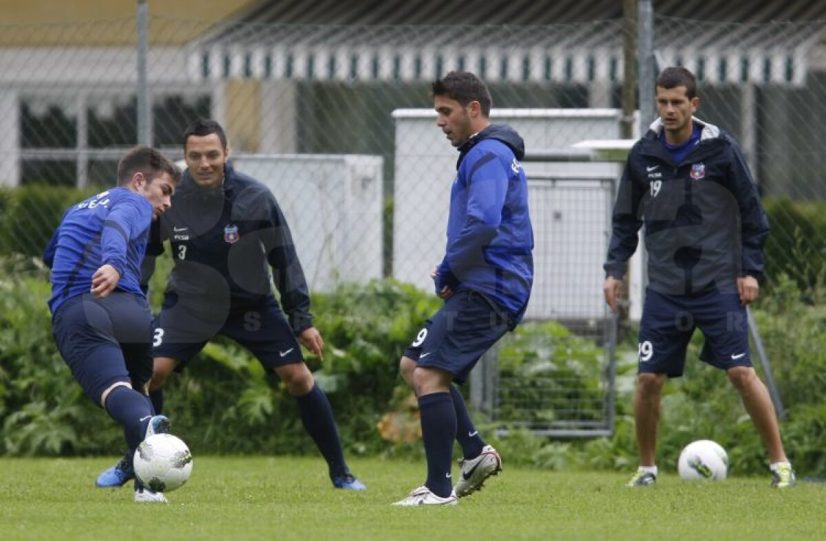 FOTO Aveţi grijă! Steliştii nu se mai iartă nici între ei!