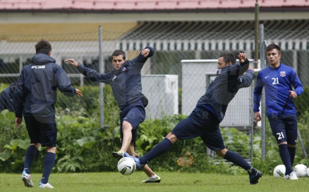 FOTO Aveţi grijă! Steliştii nu se mai iartă nici între ei!