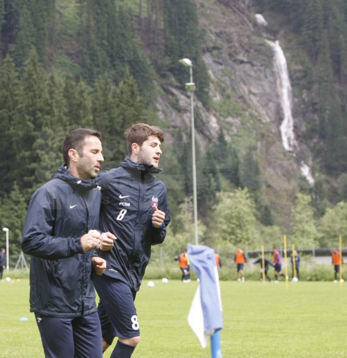 FOTO Aveţi grijă! Steliştii nu se mai iartă nici între ei!