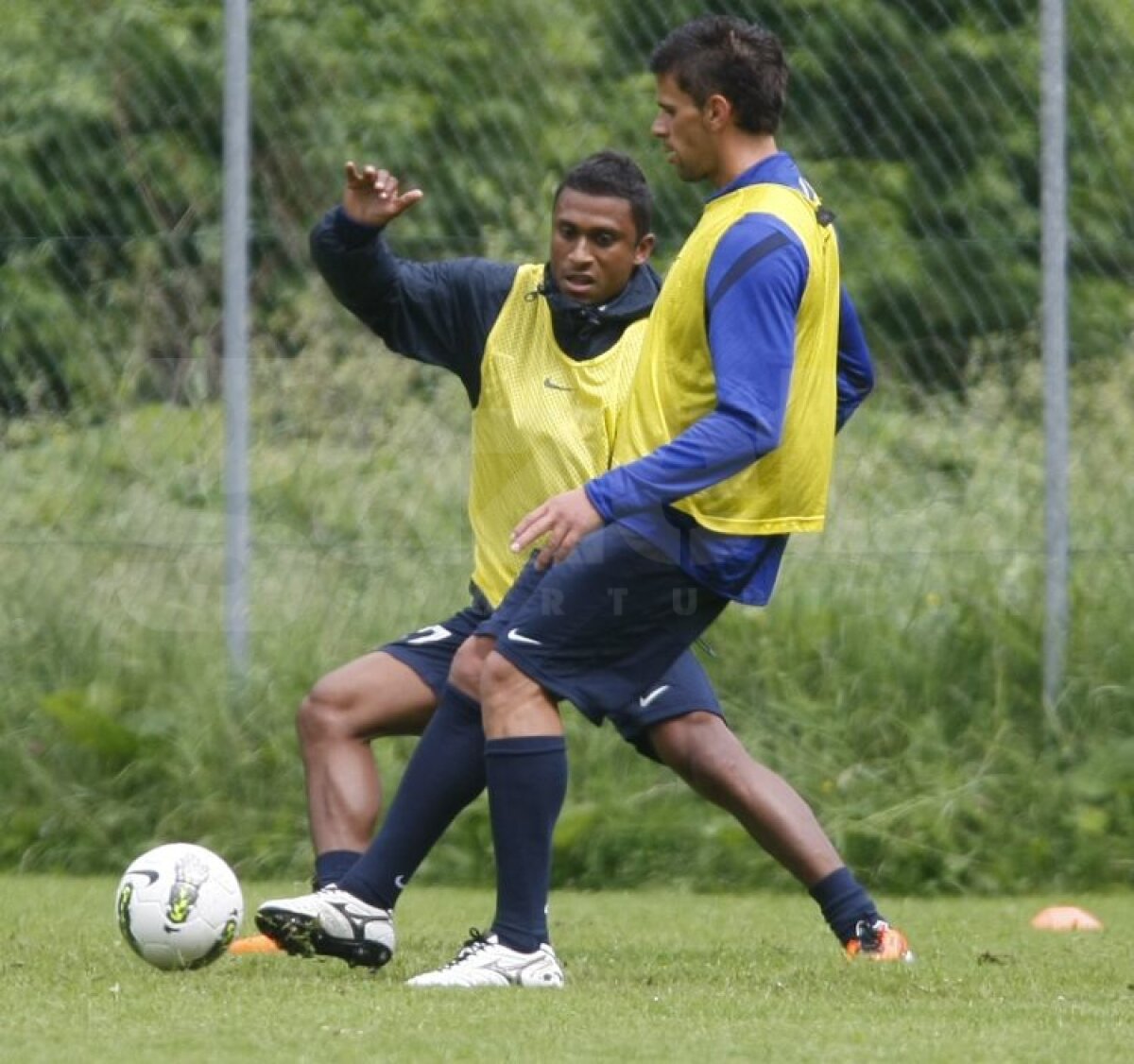 FOTO Aveţi grijă! Steliştii nu se mai iartă nici între ei!