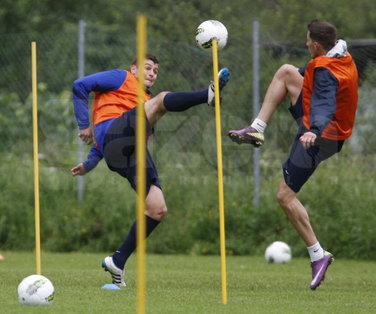 FOTO Aveţi grijă! Steliştii nu se mai iartă nici între ei!