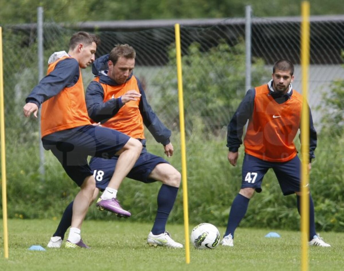 FOTO Aveţi grijă! Steliştii nu se mai iartă nici între ei!