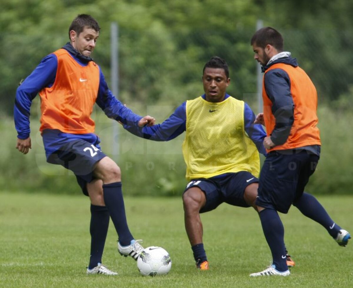 FOTO Aveţi grijă! Steliştii nu se mai iartă nici între ei!