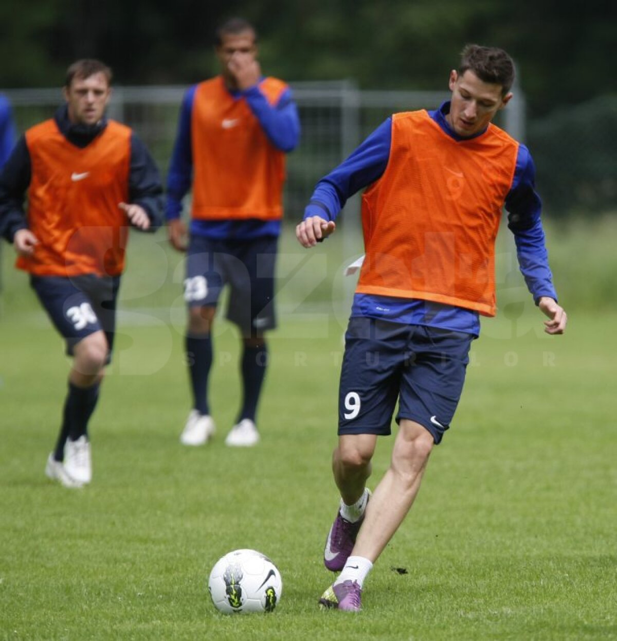 FOTO Aveţi grijă! Steliştii nu se mai iartă nici între ei!